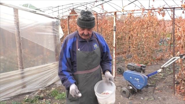 Посадка озимого чеснока от А до Я! смотреть онлайн