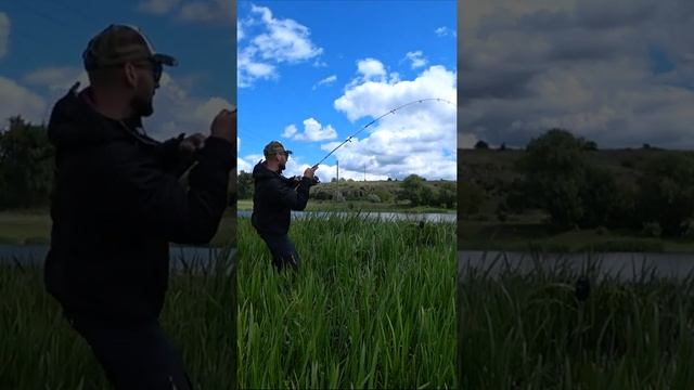 ТАКОЙ ОГРОМНЫЙ САЗАН - НЕРВЫ ВЫМОТАЛ! ВИДЕЛИ ДИКАРЯ ? #shorts смотреть онлайн