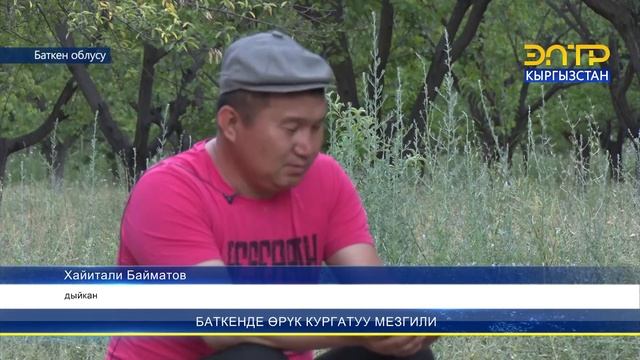 БАТКЕНДЕ ӨРҮК КУРГАТУУ МЕЗГИЛИ смотреть онлайн