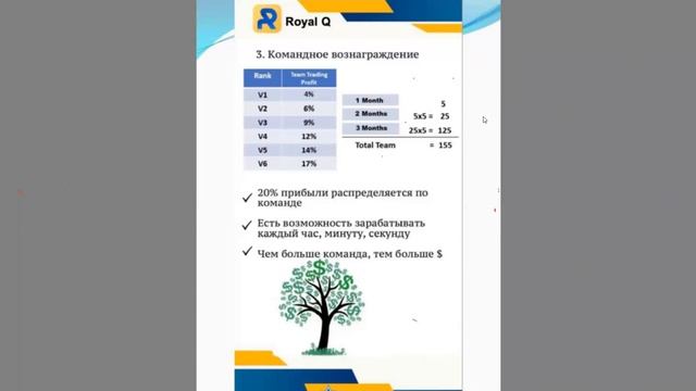 Вебинар 10 10 21 RoyalQ смотреть онлайн