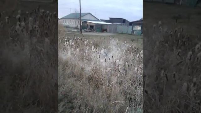 Клеф Рояль Валькирия смотреть онлайн