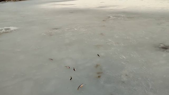 Пысаревка последняя рыбалка смотреть онлайн