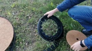Установка гибкого пластикового бордюра Манго и приствольные круги Мульчаграм.