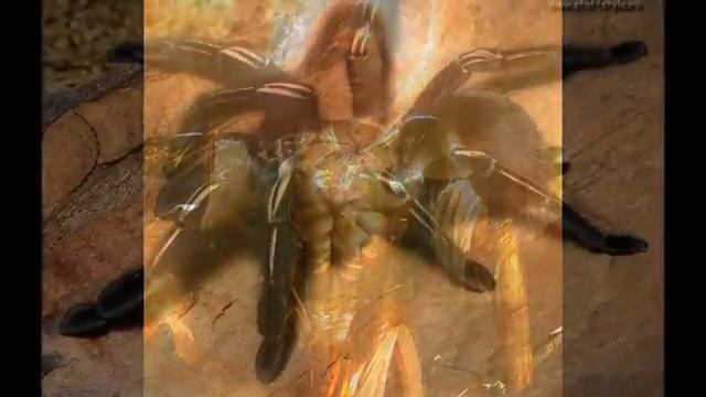 Король Поэтов Фатхула Джамаль: "АГЪУЛАРИН ПАЙДАХАР" (Агульские знамёна). 12-03-2016 смотреть онлайн