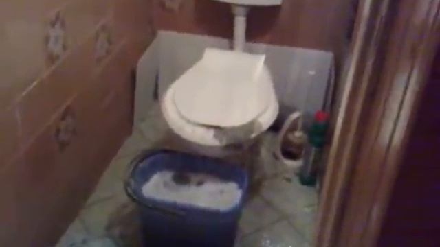 Потоп дерьмо flood shit смотреть онлайн