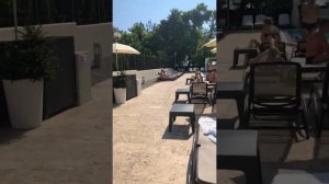 Отдых в Сочи. Полный обзор отеля Mercure Сочи центр.