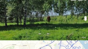 Ети существует