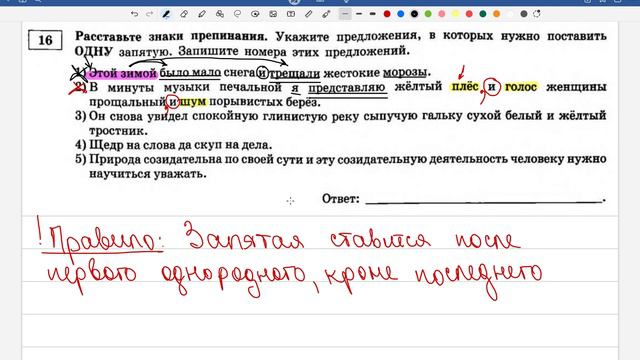 ЕГЭ по русскому языку 2024. Вариант 1 Задание 16 "ССП и однородные" смотреть онлайн