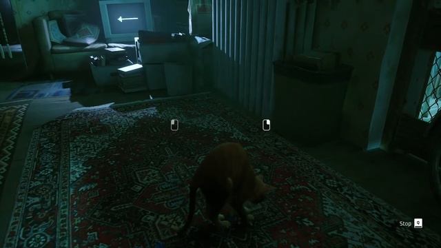 Stray GAMEPLAY | I've become the Cat Whisperer Amazing Game 60FPS [NO COMMENTARY ASMR] ! PART 1 смотреть онлайн
