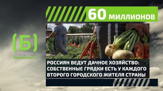 Сколько миллионов россиян ведут дачное хозяйство? смотреть онлайн