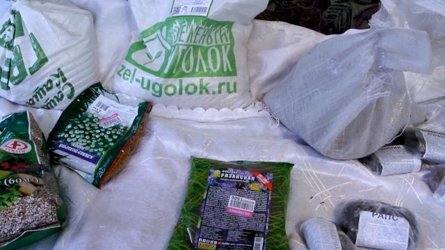 Сидераты холодостойкие, теплолюбивые и многолетние. Весь ассортимент семян. смотреть онлайн