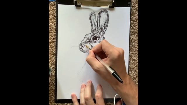 Drawing Tips and Tricks - Timelapse Bunny Sketch - Black and White Ballpoint Pen Sketch Techniques смотреть онлайн