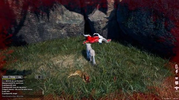 Animalia Survival - Большие кошки.