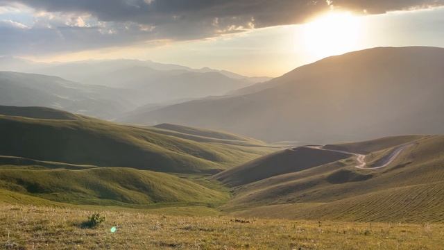 Edelweisses in the mountain of Kazakhstan. Nature. Summer. Эдельвейсы в горах Казахстана. смотреть онлайн