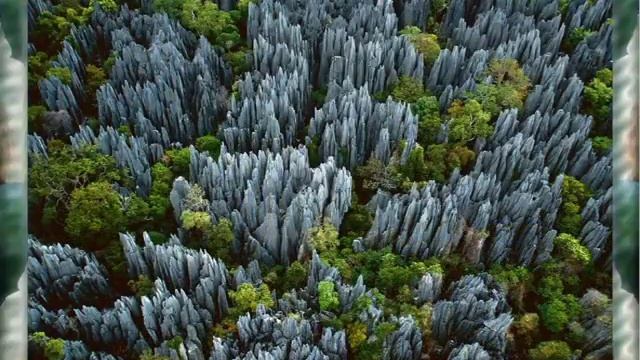 Wojciech Kilar - La Valse & La Terre vue du ciel - Yann Arthus Bertrand смотреть онлайн