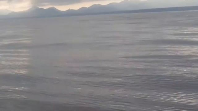 Громкое путешествие по Тихому океану смотреть онлайн