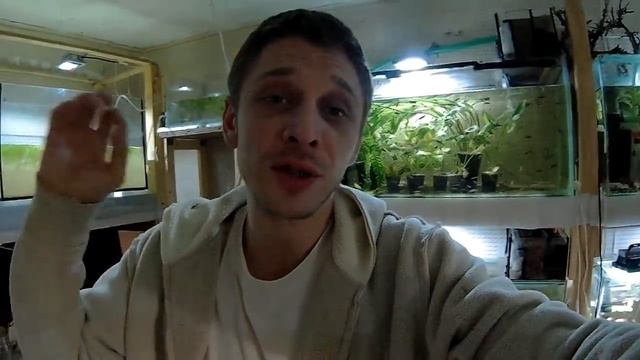 ПОЧЕМУ УМИРАЮТ РЫБКИ В АКВАРИУМЕ??? смотреть онлайн