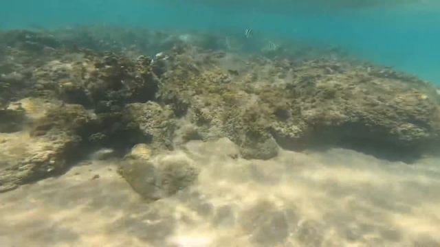 Snorkeling in The Red Sea - Titanic Royal Hurghada смотреть онлайн