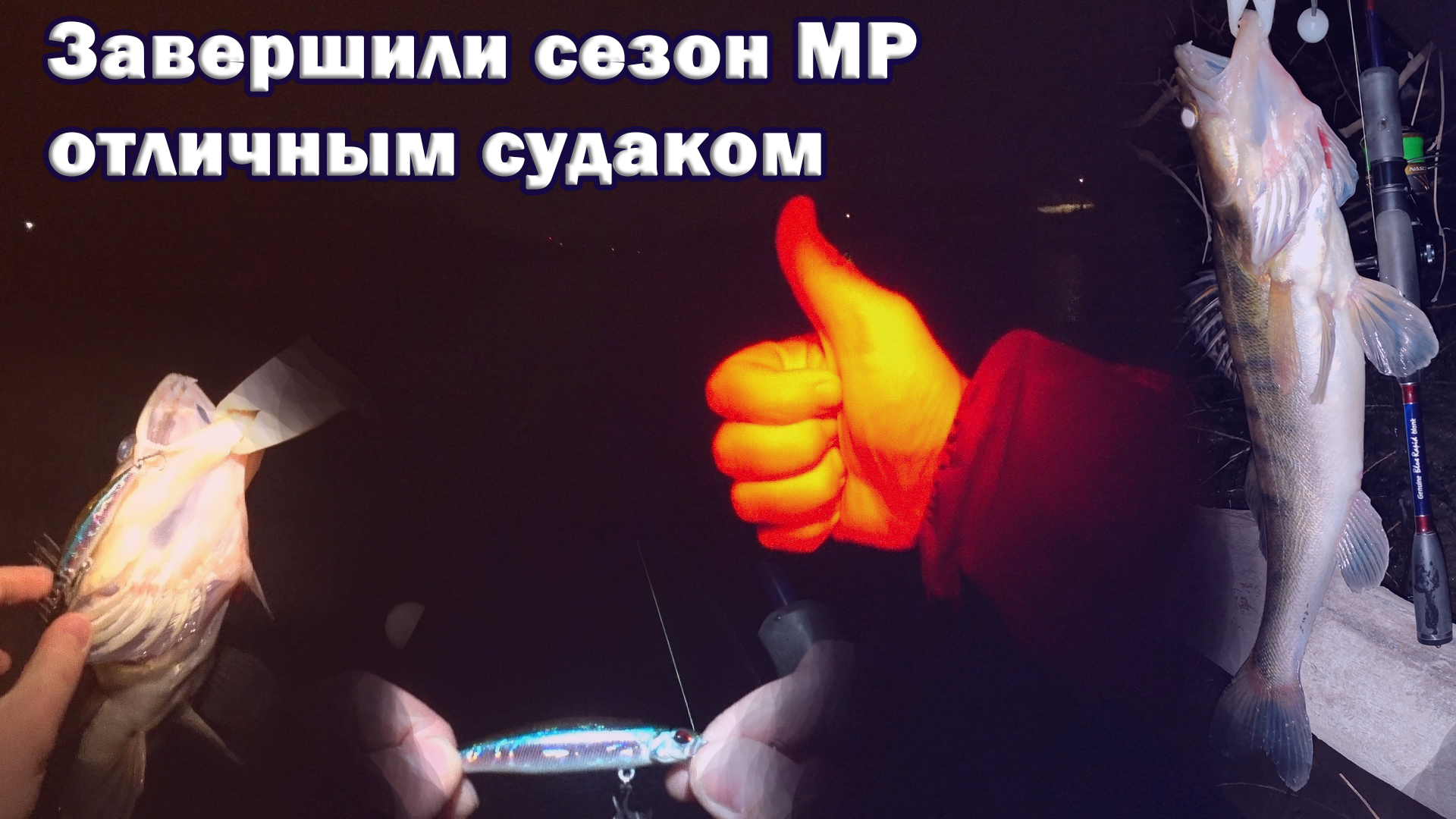 ДВЕ поклевки, ОДИН судак, ДА ЕЩЁ КАКОЙ! Отличное завершение сезона на Москва-реке 2022