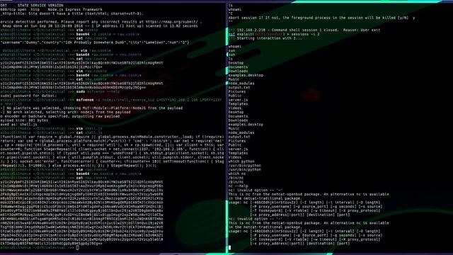 Hack the Box: Celestial (Author Walkthrough) смотреть онлайн