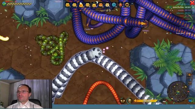 Little Big Snake.io Литл БИГ Снейк Прохождение ДЗЕН Марина 1515  8 сессия.