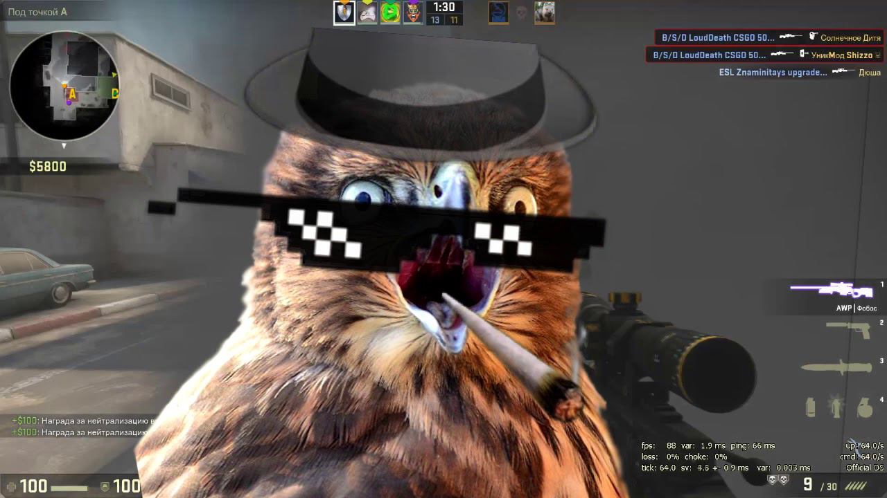 смечная ксга #5 смотреть онлайн