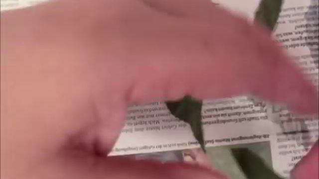 Bridgit's cowslips paper leaves (Primula veris) Part 2 смотреть онлайн