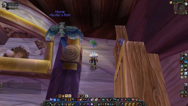 Feralas: A History WoW Classic Quest смотреть онлайн