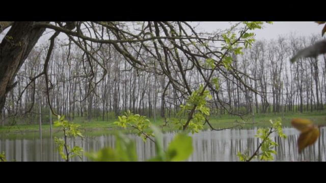 Краснодар , Динской район , река Кочеты смотреть онлайн