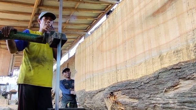 Sawing the World's Largest and Most Dangerous Teak Wood смотреть онлайн
