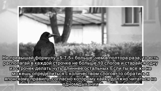 Как и зачем писать хайку смотреть онлайн