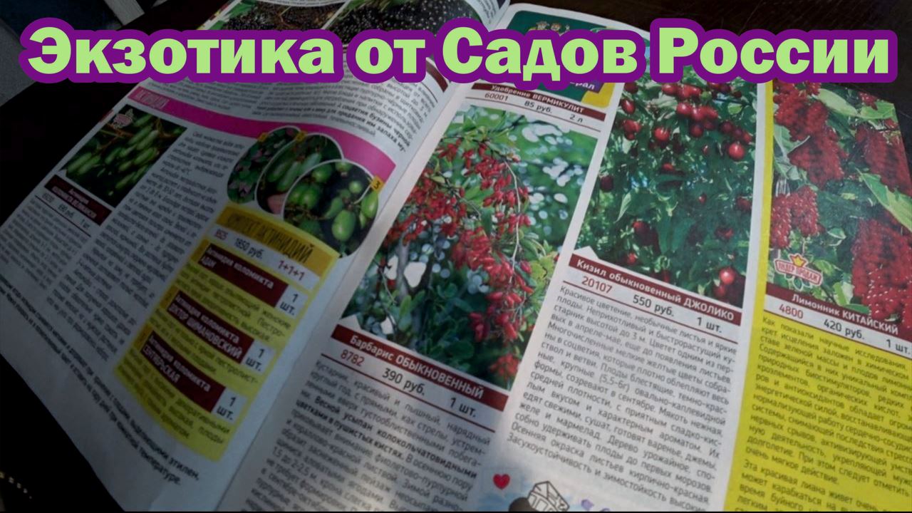 Каталог Сады России 2023 Экзотика