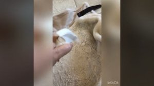 Химчистка шубы из натурального меха в домашних условиях