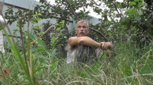 Изнанка. Сбор ягод в Карелии. Как заработать деньги. Карелия. Ягоды Карелии. за баблом,