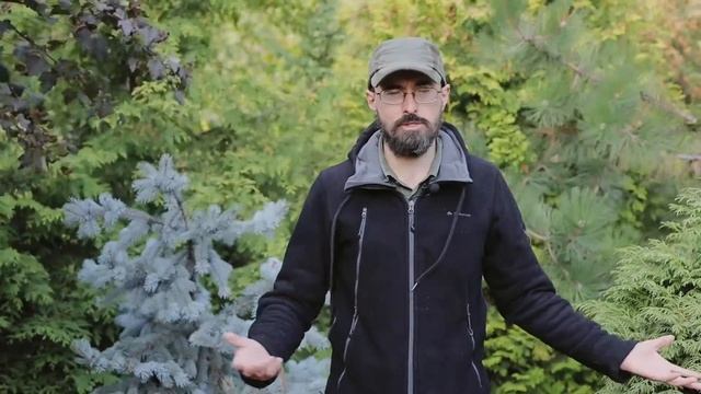 Современные формы и технологии экскурсионной работы на примере Ботанического сада МГУ смотреть онлайн