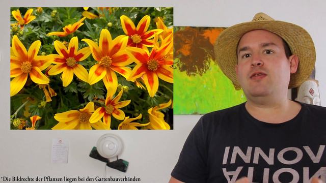 Die Balkonpflanze(n) des Jahres 2021 | Flol смотреть онлайн