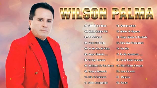 Wilson Palma Mix - Grandes Exitos De Wilson palma - Rockola Del Recuerdo Mix смотреть онлайн