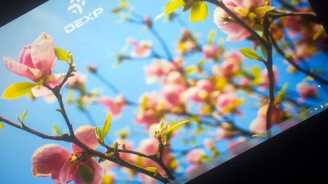 Осмотр ноутбука Dexp Ares E113 (Clevo N170SD)из DNS за 59к смотреть онлайн