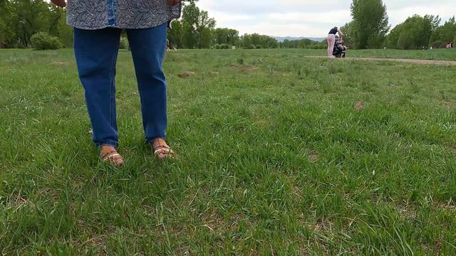 Саша охотится на сусликов. Красноярск, остов им. Татышева. смотреть онлайн