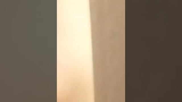 Митя титя смотреть онлайн