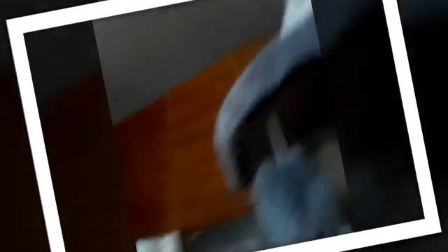 Моя киска ! Кому милаты??? Редактор "видео мейкер" смотреть онлайн