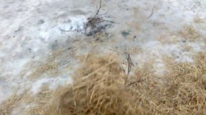 ПОИСК УКРАШЕНИЙ НА КРЕЩЕНИЕ. ПОИСК ЗОЛОТА НА ПЛЯЖЕ. коп на пляже