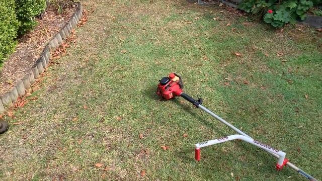 Using the Darwin's Grip Trimmer Handle in a Small Yard смотреть онлайн
