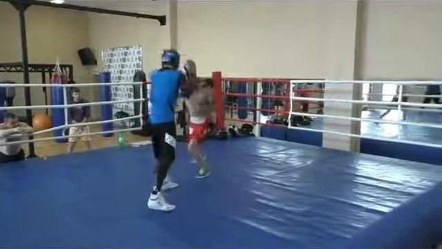 Бокс Спарринг Березин Фрезе 17 7 2015 смотреть онлайн