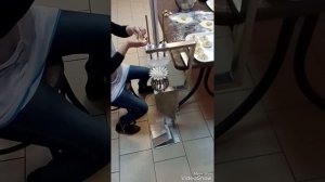 Аппарат для хинкали Россия  +7(909)429-25-38