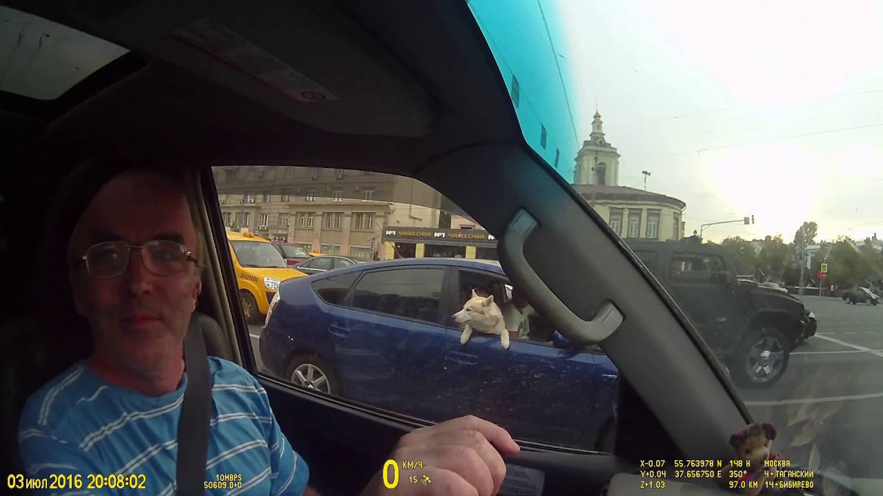 Собака в машине смотреть онлайн