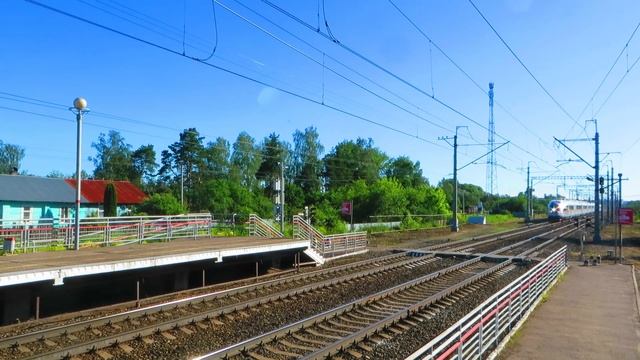 Высокоскоростной поезд ЭВС2 "Сапсан" №757 Нижний Новгород-Санкт-Петербург (Владимирская область) смотреть онлайн