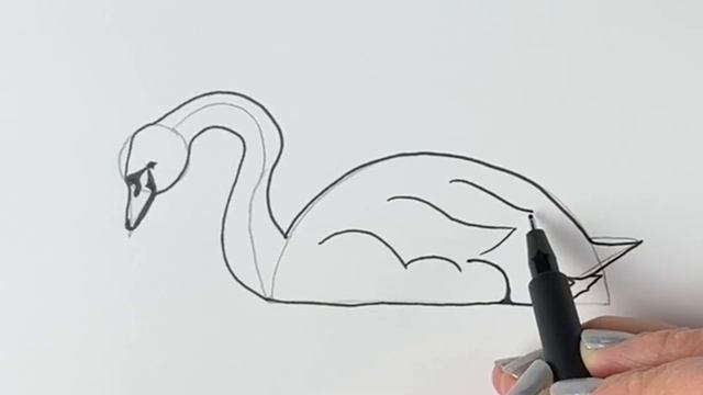 How to draw a realistic swan смотреть онлайн