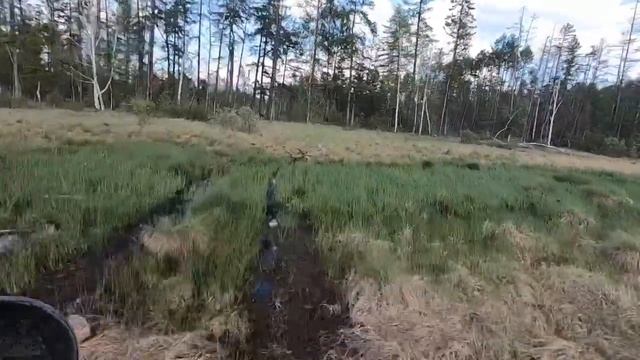 Свобода в чистом виде смотреть онлайн