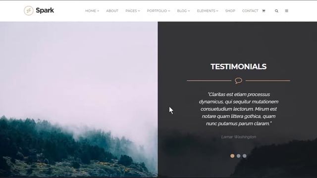 Spark WordPress Theme Agency Landing-Page смотреть онлайн